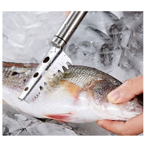 8 Best Fish Scalers For 2023 (Our Favorite Fish Scale Removers).